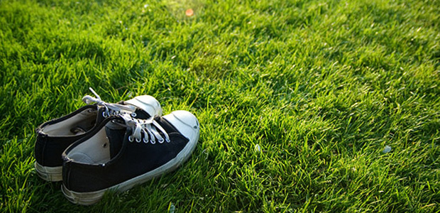Complete Lawn Care Programs
